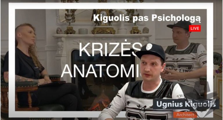 Krizės anatomija Krizės anatomija
